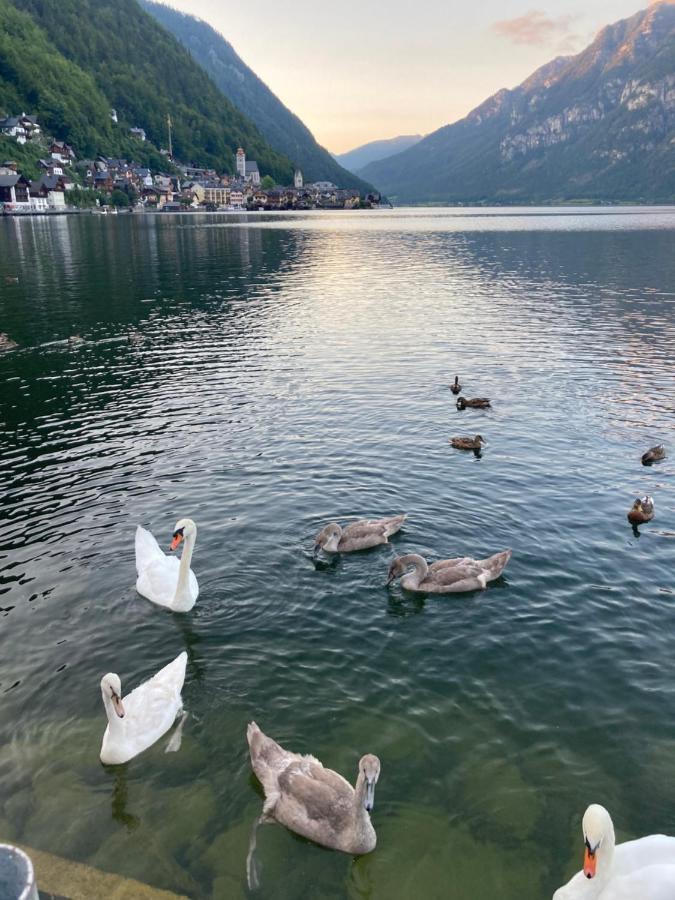 Hallstatt Lakeside Top 4 - Zimmer Mit Balkon Экстерьер фото